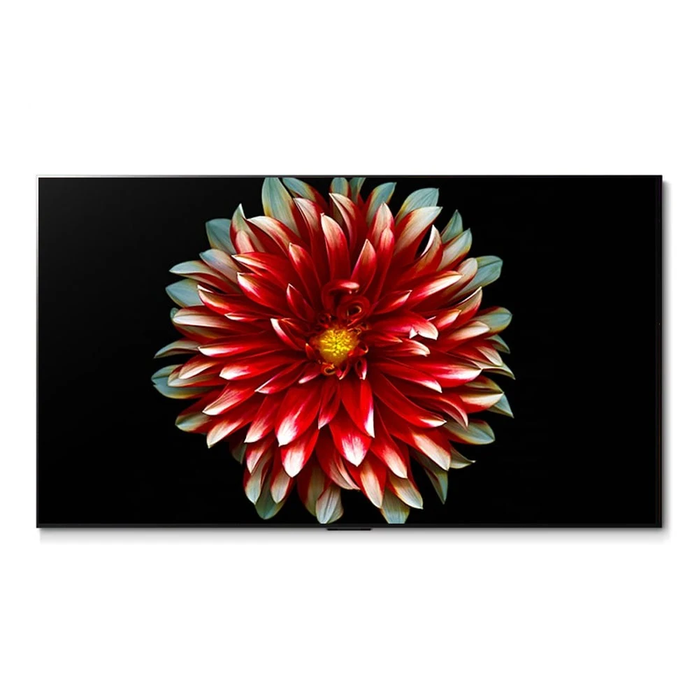77인치 OLED TV 추천
