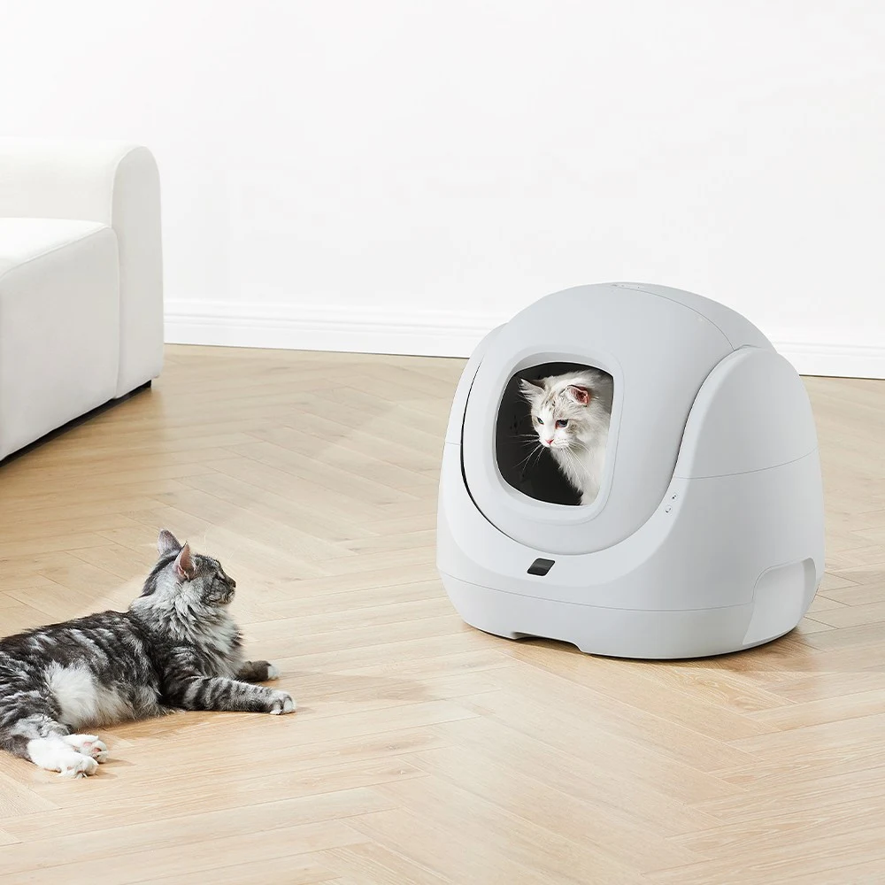 CATLINK SE Lite