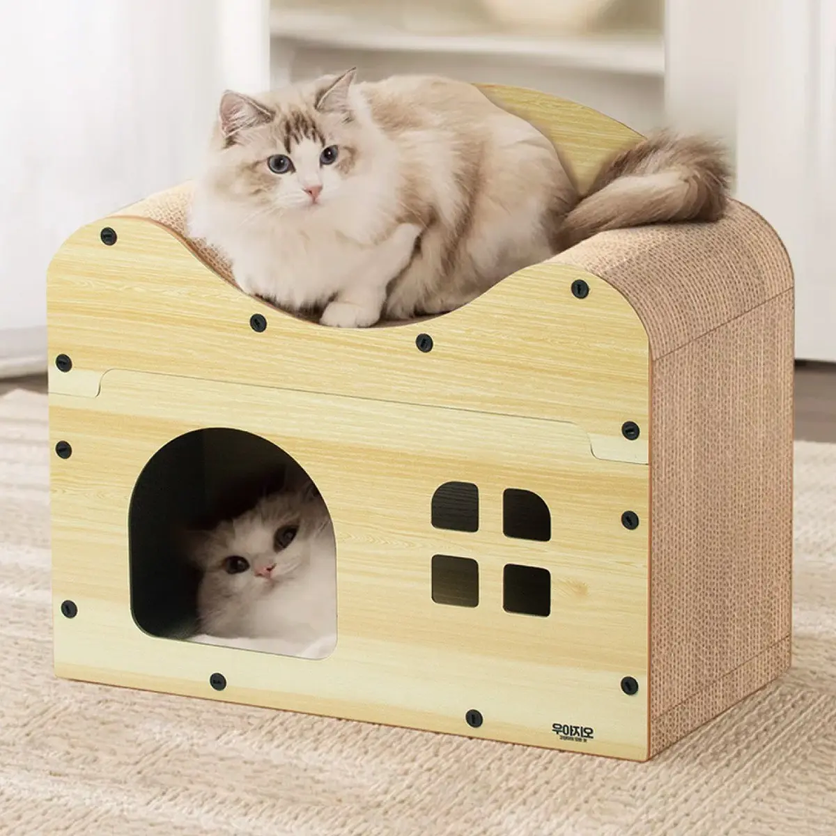 고양이 숨숨집 추천 비교 후보