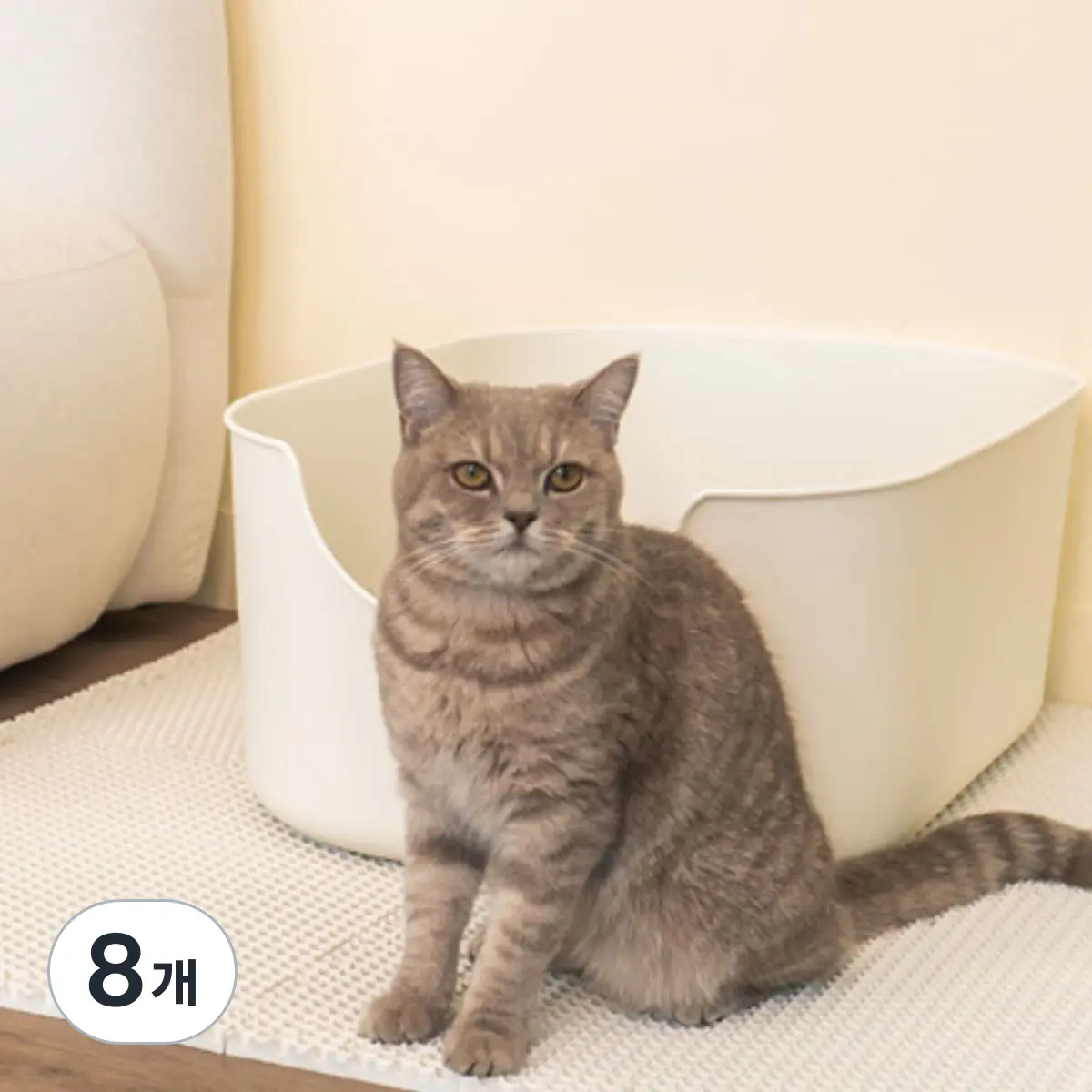 고양이 모래매트 추천 비교 후보
