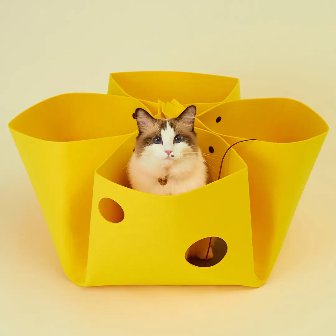 고양이섬 고양이 치즈만두 놀이터널