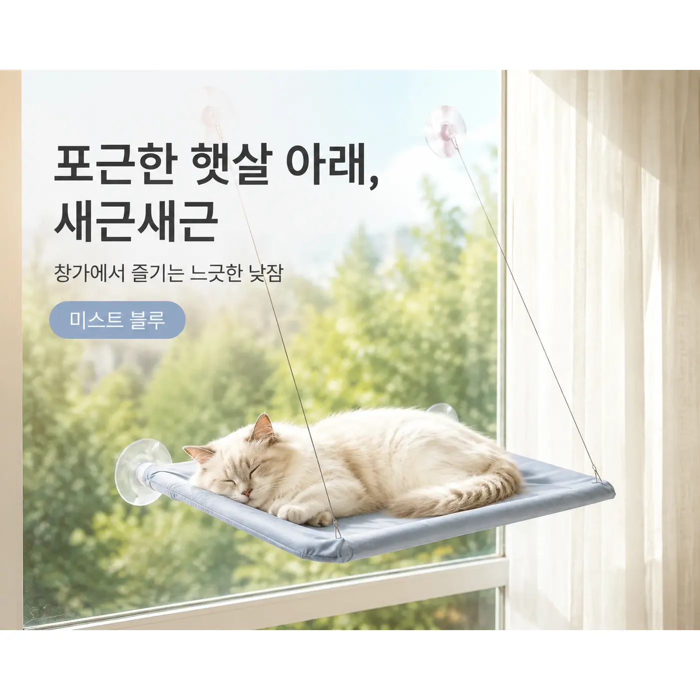 고양이 해먹 창문 침대 흡착식 캣베드 사계절 창가 일광욕 휴식공간 반려묘 걸이형 고양이침대