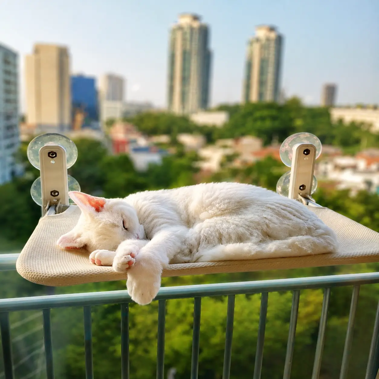 콩냥팥냥 완제품 고양이 창문 해먹 부착형 해먹
