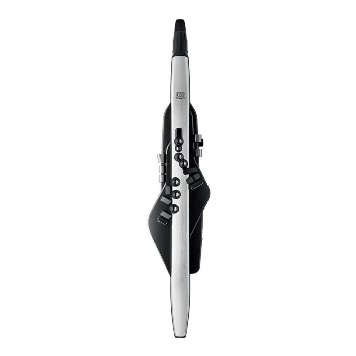 롤랜드 Aerophone Pro AE-30