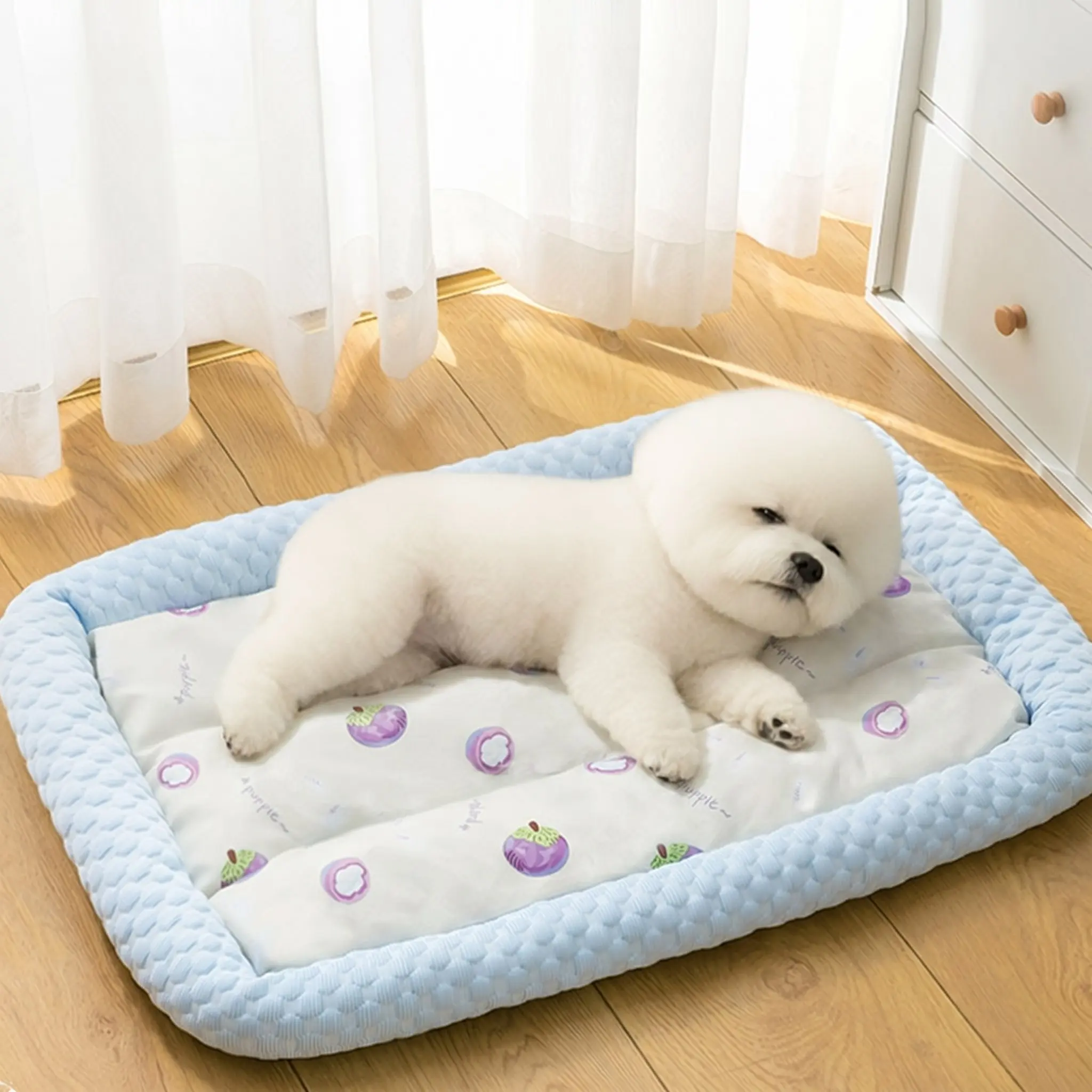 강아지 쿨매트 추천 비교 후보