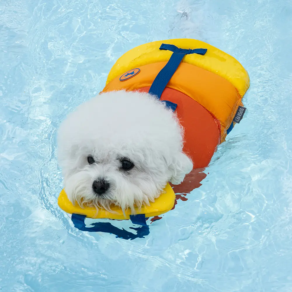 도그아이 강아지 플로트 구명조끼