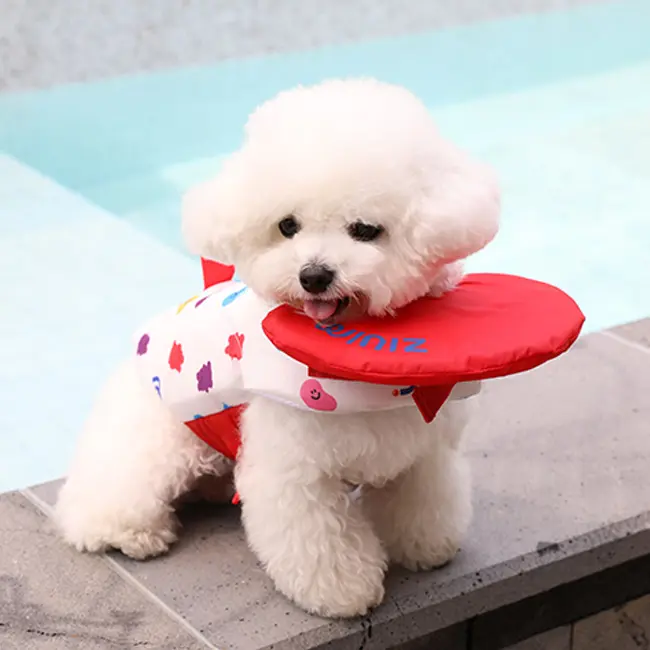 강아지 구명조끼 추천 비교 후보