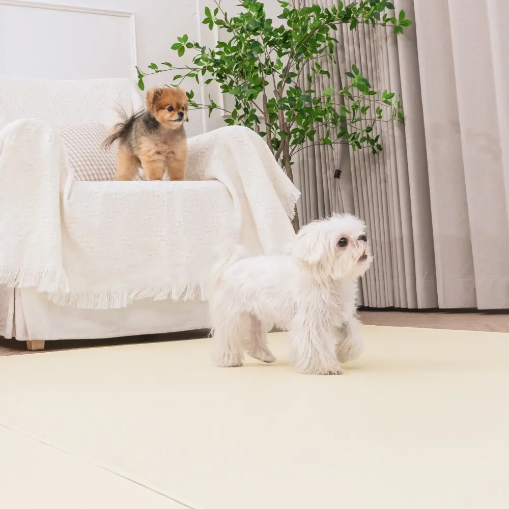 강아지 미끄럼방지 매트 추천 비교 후보