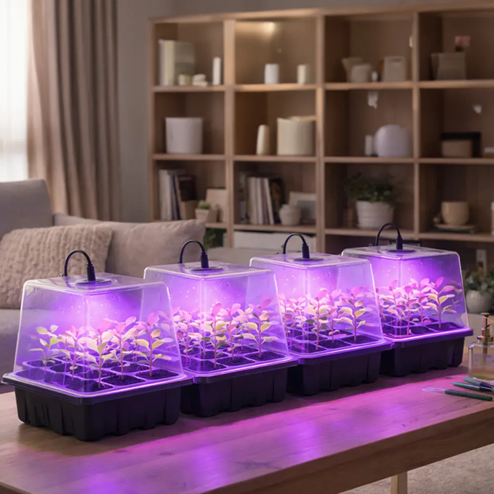 7번 돔형 새싹재배기 제품 사진