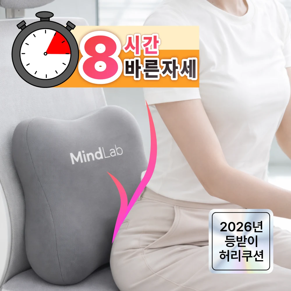 의자 등받이 쿠션 추천 비교 후보