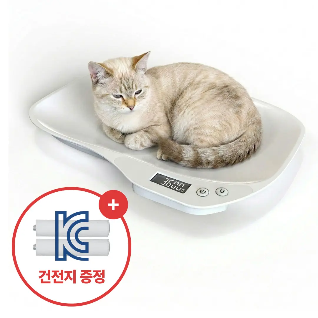 집똑똑이 강아지 고양이 미니 체중계 + 건전지